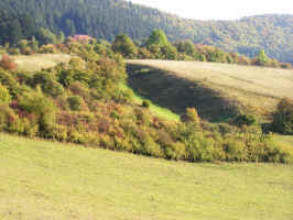 koryto-.jpg (1009677 bytes)