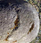 granit-10.JPG (1042307 bytes)